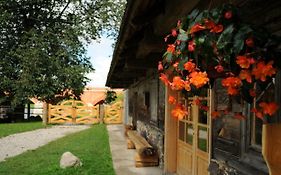 Guest House Ventas Rumba